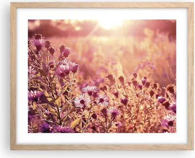 Produktbild von Gerahmtes Poster - Rahmen in heller Eiche - Wiese Blumen Sonne - 50x40 cm - Wand Bild - Wanddeko - Wandbilder - Kunstposter - Wandposter - Bilderrahmen - Bilder - Kunstdruck - P2NAA50x40-4819