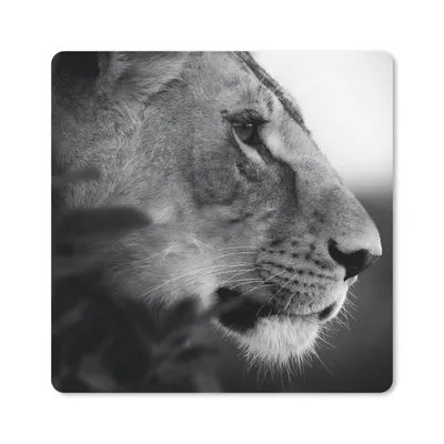 Produktbild von MuchoWow® Mauspad Mousepad Löwe - Wilde Tiere - Dschungel - Schwarz - Weiß 20x20 cm - Mousepads - Maus Mat - Pad - Mausunterlage - Desk Mat - Bureauartikeln