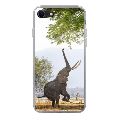 Produktbild von MuchoWow® Handyhülle Schutzhülle Hülle für iPhone SE 2020 Elefant - Baum - Blätter Silikon Softcase Handy Hülle - Kartenbesitzer