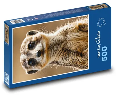 Produktbild von martinpuzzle - Puzzle 500 Teile - Meerikata