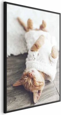 Produktbild von Posterpapier Poster - Lazy Cat 29.7x42 cm Tiere g-B-0136-ao-a