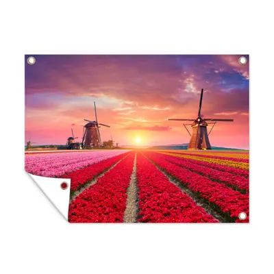 Obrázek produktu pro MuchoWow® Zahradní plakáty - Květiny - Větrný mlýn - Tulipány - Západ slunce - Růžová - 120x160 cm - Zahradní dekorace