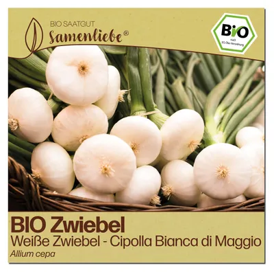 Produktbild von Samenliebe  Zwiebel Samen | Cipolla Bianca di Maggio - weiße & mild zart & frühe Sorte - samenfestes  Saatgut