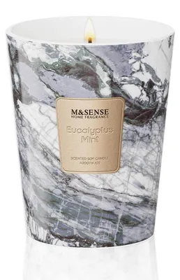 Productafbeelding van Geurkaars eucalyptus-munt in glas, 400g, brandduur 75 uur, 2 lonten, sojawas