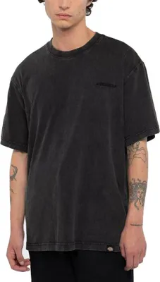 Produktbild von DICKIES - Herren-T-Shirt Plentywood - Größe XL