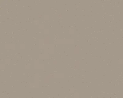 Produktbild von A.S. Création Vliestapete MeisterVlies 5 die glatte Wand braun 10,05 m x 0,53 m 309525