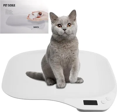 Produktbild von Digitale Mini-Tierwaage – 15kg/1g – Haustierwaage mit LCD-Anzeige – für Katzen, Welpen, Hamster – Weiß