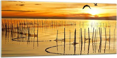 Produktbild von Bilder auf glas - See Vogel Wasser - 120x50cm - Glasbilder - Wandbilder - Kunstdruck - zum Aufhängen bereit - Wanddekoration aus Glas - Glas Bilder - Wandbild auf Glas - Einteilig - GAB120x50-3616