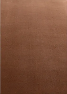 Produktbild von Teppium Waschbarer Kurzflor Teppich - Rutschfest, Einfarbig & Weich im modernen Stil, Grösse: 200x290 cm