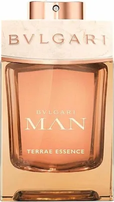 Produktbild von Bvlgari Man Terrae Essence Eau De Parfum Spray 100ml