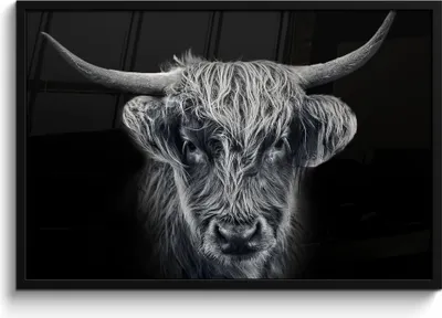 Produktbild von MuchoWow® MuchoWow® Gerahmtes Poster Schottisches Hochlandrind - Schwarz - Kuh - Tiere 90x60 cm - Poster mit zchwarzem Bilderrahmen - Fotorahmen - Foto-Plakat