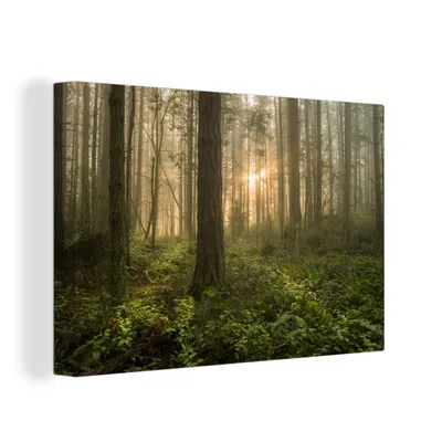 Obrázek produktu pro OneMillionCanvasses® Malba na plátně Nástěnná malba na plátně - Les - Slunce - Světlo - 150x100cm