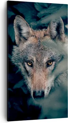 Produktbild von Bild auf Leinwand - Leinwandbild - Einteilig - Wolf Wald Raubtier - 45x80cm - Wand Bild - Wanddeko - Wandbilder - Leinwanddruck - Bilder - Wanddekoration - Leinwand bilder - Wandbild - PA45x80-5053