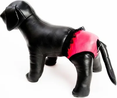 Obrázek produktu pro Hárací kalhotky "Gina" červené s krajkou 18 cm