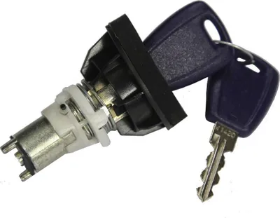 Image de Serrure de coffre avec clé 46524217