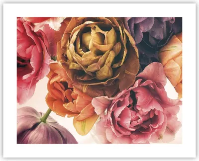 Produktbild von Poster - Poster ohne Rahmen - Blumenstrauß Blumen Braut - 50x40 cm - Wand Bild - Wanddeko - Wandbilder - Kunstposter - Wandposter - Bilder - Kunstdruck - Wanddekoration - Wandbild - P2XAA50x40-5025