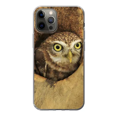 Produktbild von MuchoWow® Handyhülle Schutzhülle Hülle für iPhone 12 Pro Braune Eule, die aus einem Loch in einem Baum schaut Silikon Softcase Handy Hülle - Abdeckung