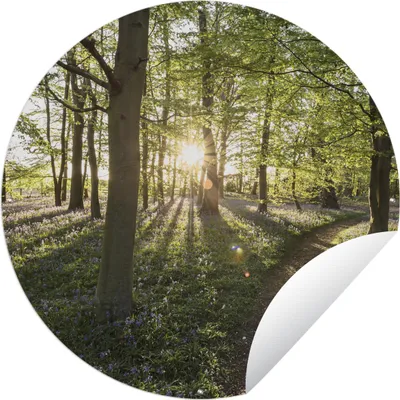 Produktbild von MuchoWow® Gartenposter Outdoor-Poster Rund Wald - Baum - Sonne Ø 150 cm Gartendeko Rundes Poster draußen