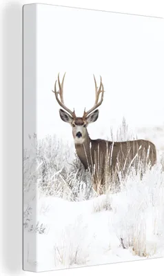 Produktbild von MuchoWow® - Leinwandbilder - Hirsche - Winter - Schnee - Tiere - Jahreszeiten - Weiß, Wandbild, Wanddeko Bilder Wohnzimmer, 40x60 cm