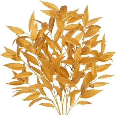 Immagine prodotto di Rami di eucalipto artificiali da 100 cm con foglie dorate - Decorazione