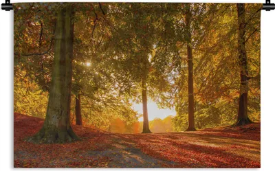 Produktbild von MuchoWow® Wandteppich Wandbehang Herbst - Licht - Wald 120x80 cm Tapisserie Dekoration Wandtuch - Wanddekorationen - Wandtücher