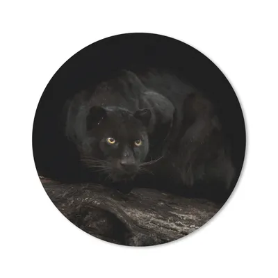 Produktbild von MuchoWow® Mauspad Mousepad Panther - Wald - Augen 20x20 cm - Mousepads - Maus Mat - Pad - Mausunterlage - Schreibtischmatte
