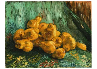 Produktbild von Kunstkarte Vincent van Gogh "Quittenstillleben"