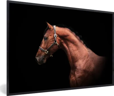 Produktbild von MuchoWow® MuchoWow® Gerahmtes Poster Pferd - Leicht - Halfter 90x60 cm - Poster mit zchwarzem Bilderrahmen - Fotorahmen - Foto-Plakat