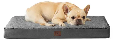 Produktbild von Orthopädisches Hundebett 76x51cm Waschbar Grau