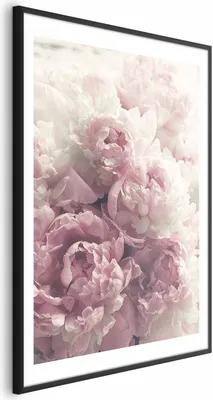 Produktbild von Posterpapier Poster - Delicate Peonies 40x60 cm Blumen b-B-0467-ao-a