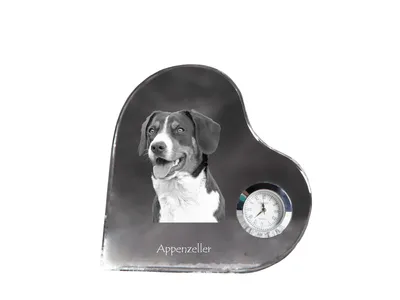 Produktbild von Appenzeller Sennenhund, Appenzellerhund - Kristalluhr mit einem Hundebild, Herzregal-Uhr, personalisierte Standuhr der Marke Art-Dog