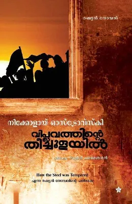 Produktbild von viplavathinte theechoolayil