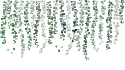 Produktbild von Wandtattoo Wohnzimmer,Grüne Pflanzen Eukalyptus Rebe Blätter