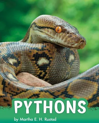 Produktbild von Pythons