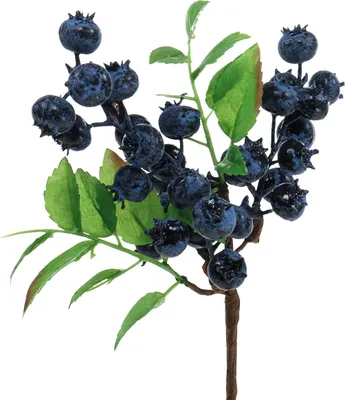 Produktbild von Dekozweig mit Heidelbeeren für herbstliche Arrangements und Dekoideen
