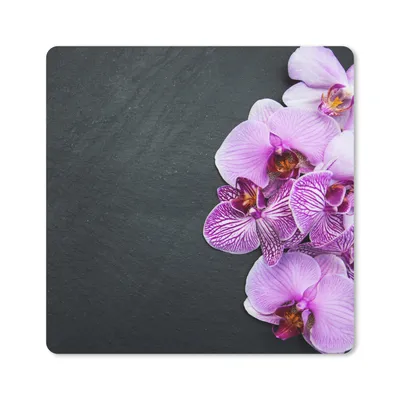 Produktbild von MuchoWow® Mauspad Mousepad Orchidee - Blumen - Rosa - Flora 30x30 cm - Mousepads - Maus Mat - Pad - Mausunterlage - Gaming