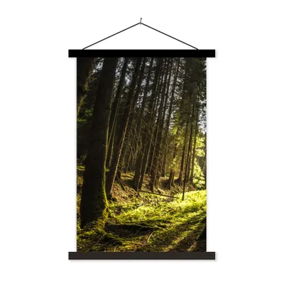 Produktbild von MuchoWow® Textilposter Baum - Natur - Sonne - Wald 40x60 cm mit schwarzem Rahmen - Wanddekorationen