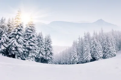 Produktbild von Muralo Fototapete Landschaft 208 (B) x 146 (H) cm Vlies Tapete Wandtapeten Gebirge Schnee Bäume Wohnzimmer Schlafzimmer moderne Wandbilder XXL Natur Panorama Wand Dekoration
