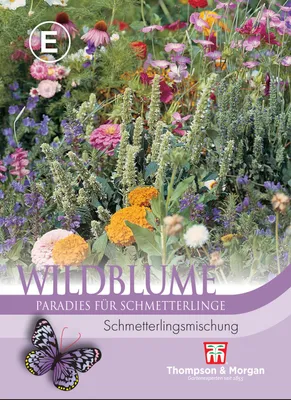Produktbild von Wildblume Schmetterlings Mischung | Wildblumensamen von Thompson & Morgan