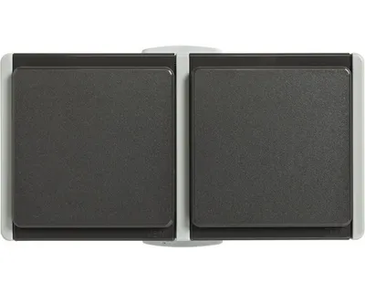 Immagine prodotto di Presa doppia per ambienti umidi a vista IP54 orizzontale grigio chiaro/grigio scuro Standard IP54