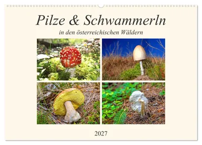 Produktbild von Pilze & Schwammerln (Wandkalender 2027 DIN A2 quer), CALVENDO Monatskalender