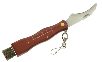 Immagine prodotto di Coltello tascabile per funghi