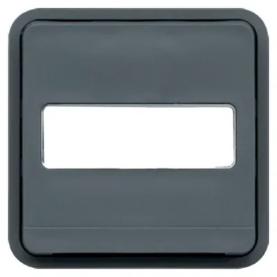 Image de Vv As Gris Wna001