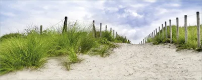 Produktbild von Wallario Poster - Auf dem Weg zum Strand durch Dünen, Kunstdruck Größe: 50 x 125 cm