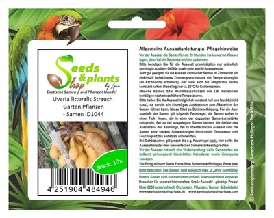 Produktbild von 10x Uvaria littoralis Strauch Garten Pflanzen - Samen ID1044