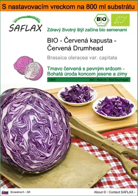 Obrázok produktu pre SAFLAX Garden in the bag - BIO - Červená kapusta - Červená Drumhead - Brassica oleracea var. capitata - 250 Semená - S pestovateľským substrátom v praktickom samostaviteľnom vrecku