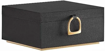 Produktbild von Famanu Schmuckkästchen mit 2 Ebenen, Schmuckständer mit Griff, herausnehmbarer Ablage, schwebender Effekt, 20,5 x 24 x 11 cm, Geschenkidee