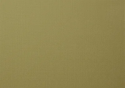 Productafbeelding van ASA Selection rechthoekige placemats, tafelset, pistachekleur, 46 x 33 cm