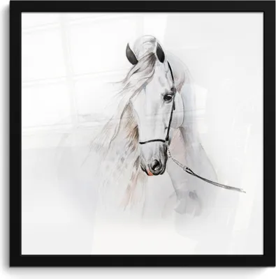 Produktbild von MuchoWow® MuchoWow® Gerahmtes Poster Pferd - Aquarell - Tiere - Weiß 40x40 cm - Poster mit zchwarzem Bilderrahmen - Mit Rahmen - Wanddekoration Schlafzimmer
