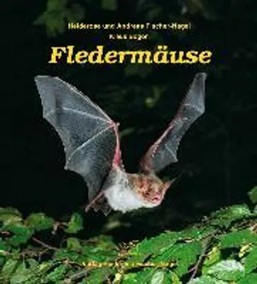 Produktbild von Fledermäuse